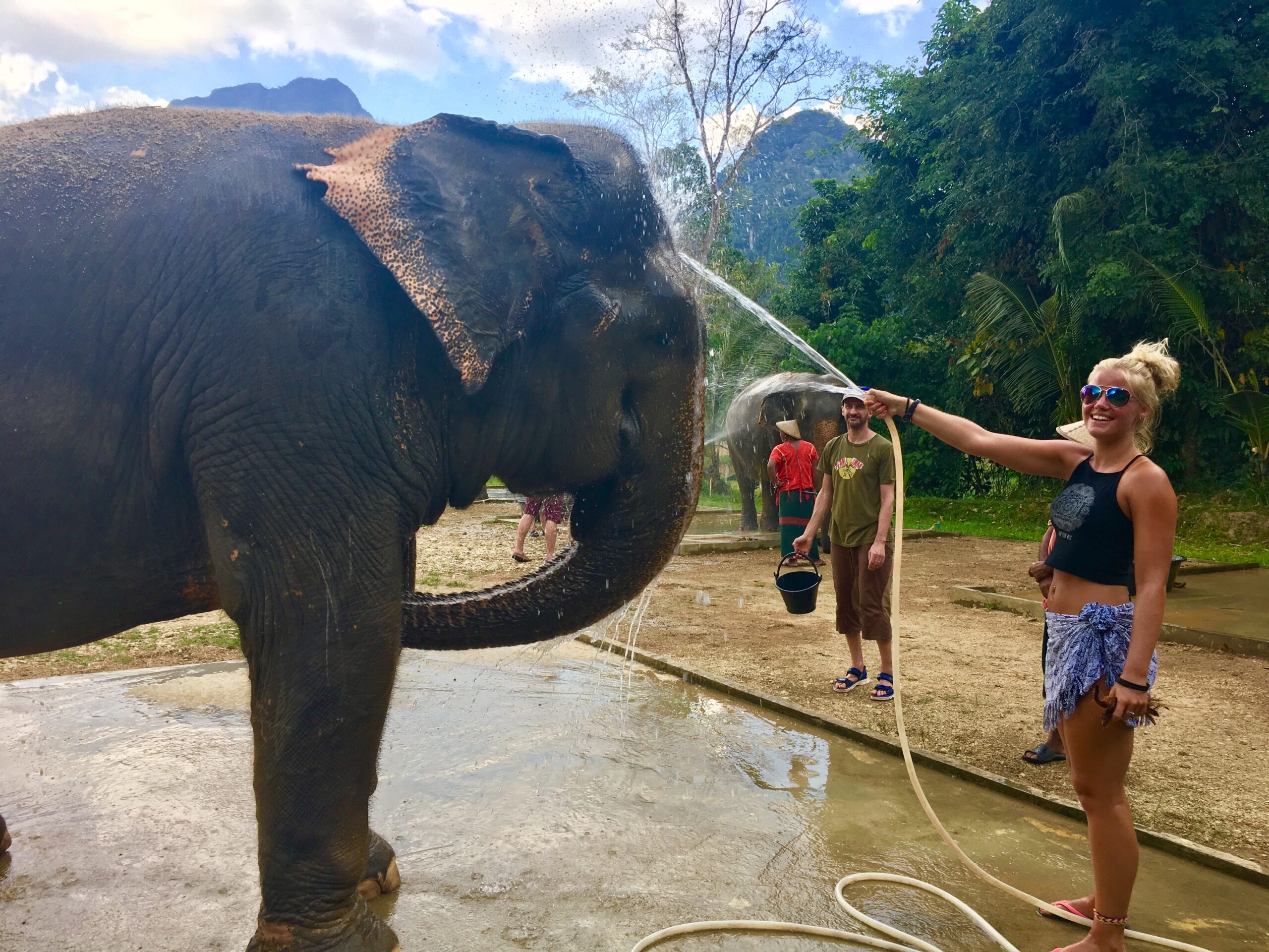Hannah bathing elephants in Thailand 